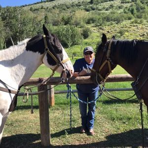 Meet your Posher, Iris